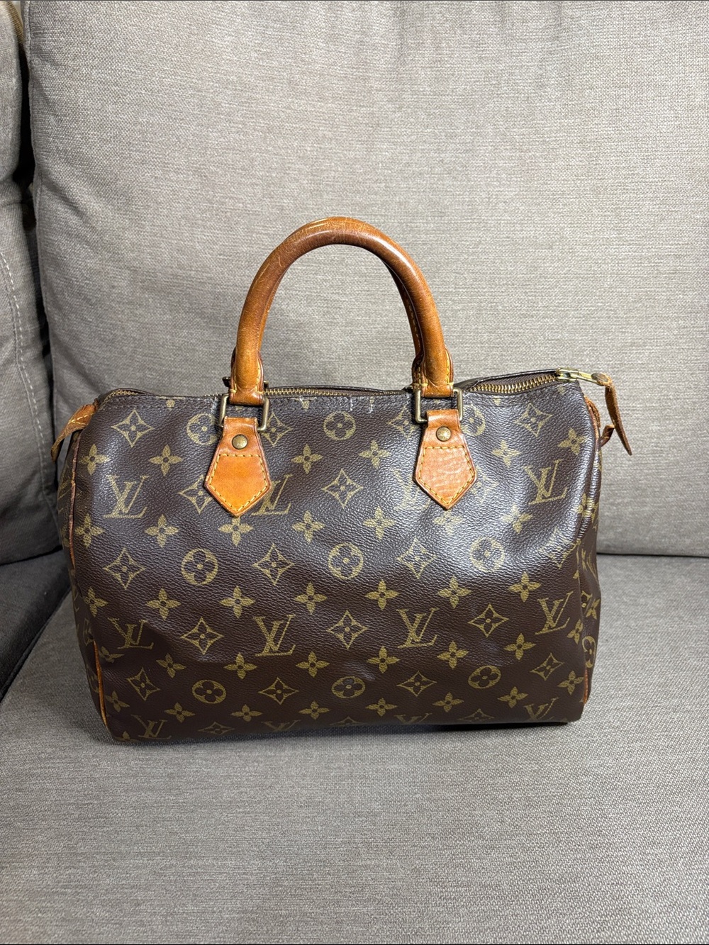 Authentic Louis Vuitton Monogram Speedy 30 Project Bag COA